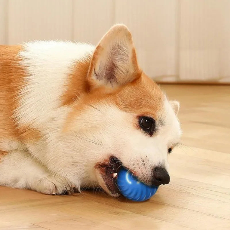 BouncePaw — Automatic Jumping & Rolling Dog Ball | USB Rechargeable | Smart Interactive Toy