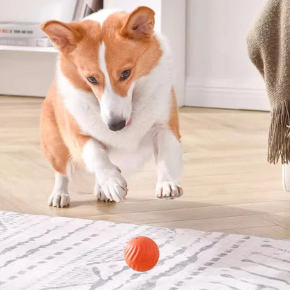BouncePaw — Automatic Jumping & Rolling Dog Ball | USB Rechargeable | Smart Interactive Toy