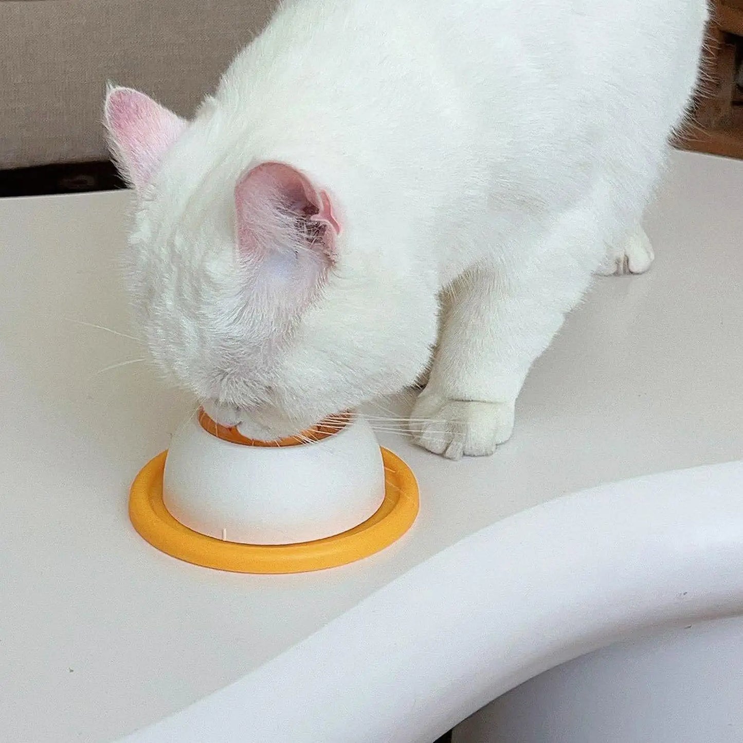 LickBowl — 2-in-1 Slow Feeder & Lick Bowl for Dogs and Cats | Anti-Slip | Mental Enrichment