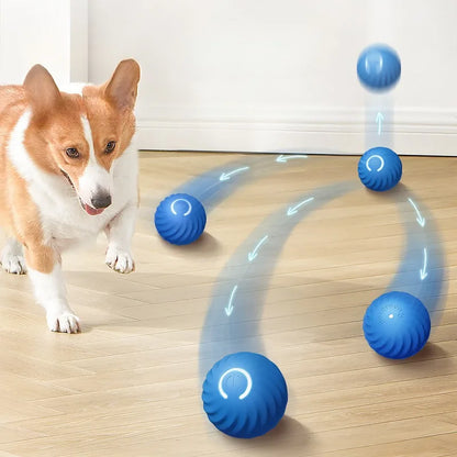 BouncePaw — Automatic Jumping & Rolling Dog Ball | USB Rechargeable | Smart Interactive Toy