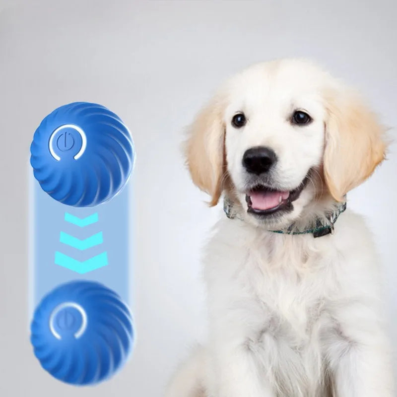 BouncePaw — Automatic Jumping & Rolling Dog Ball | USB Rechargeable | Smart Interactive Toy