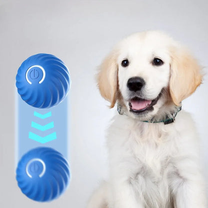 BouncePaw — Automatic Jumping & Rolling Dog Ball | USB Rechargeable | Smart Interactive Toy