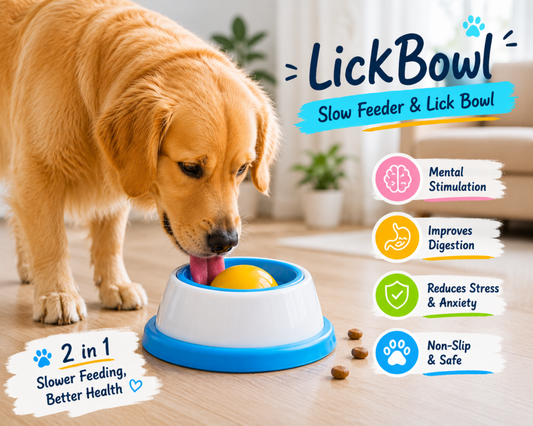 LickBowl — 2-in-1 Slow Feeder & Lick Bowl for Dogs and Cats | Anti-Slip | Mental Enrichment